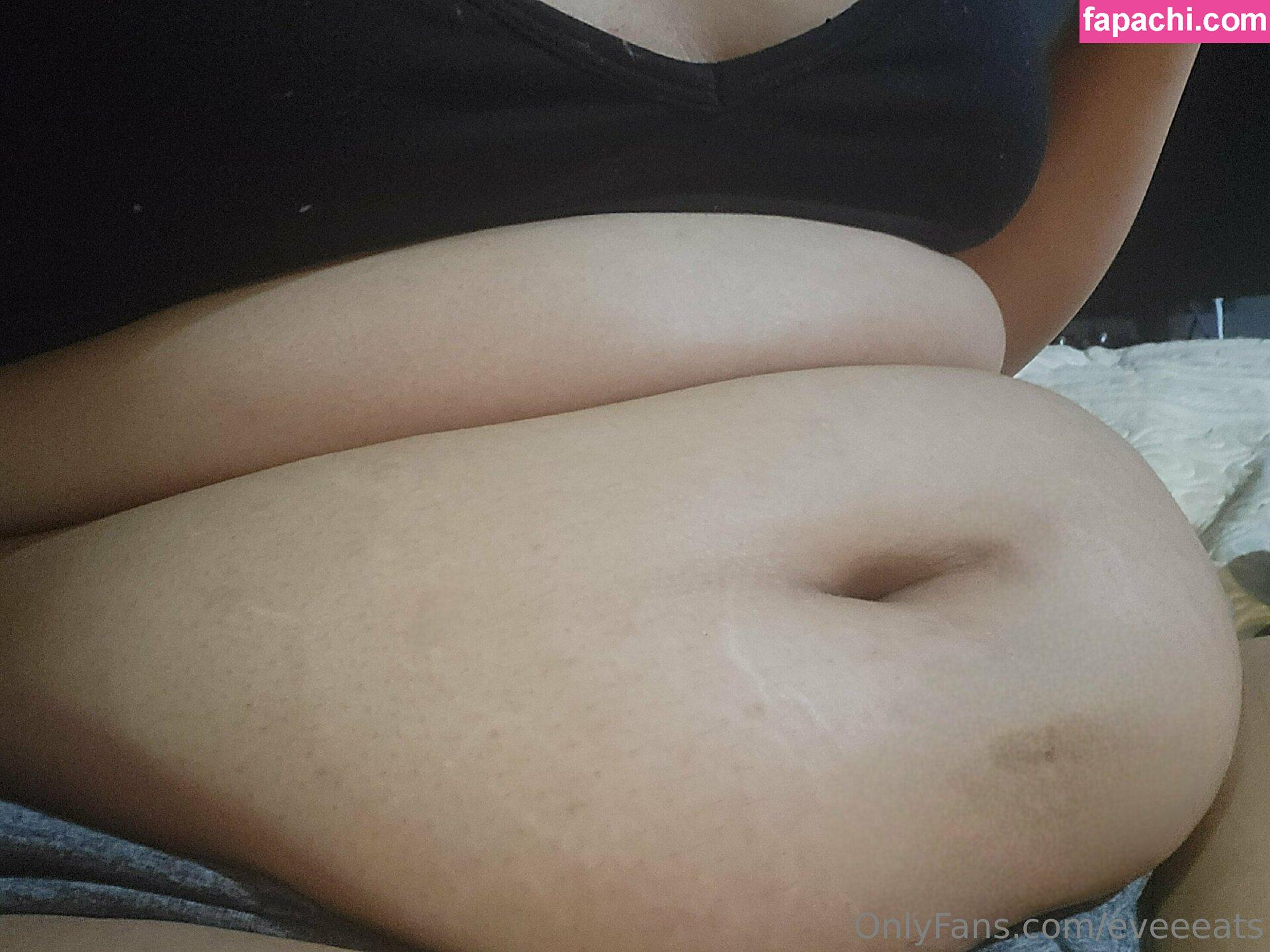 chubbyevilbrat leaked nude photo #0015 from OnlyFans/Patreon