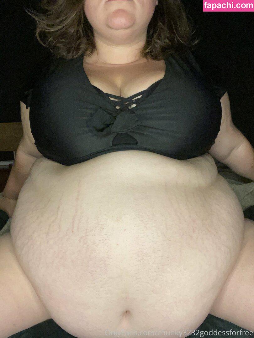 chunky3232goddessforfree / gipsygoddess_ leaked nude photo #0008 from OnlyFans/Patreon
