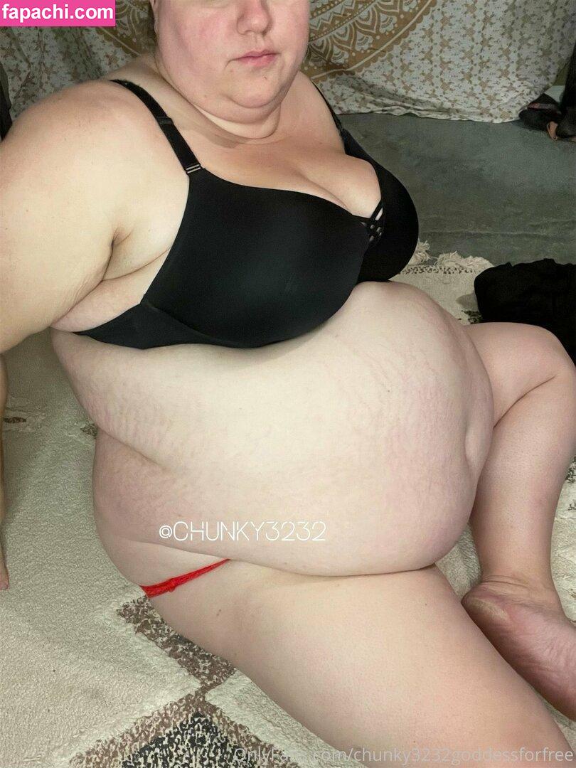 chunky3232goddessforfree / gipsygoddess_ leaked nude photo #0011 from OnlyFans/Patreon