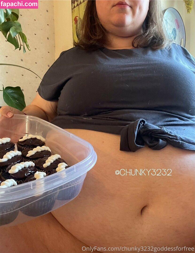chunky3232goddessforfree / gipsygoddess_ leaked nude photo #0012 from OnlyFans/Patreon