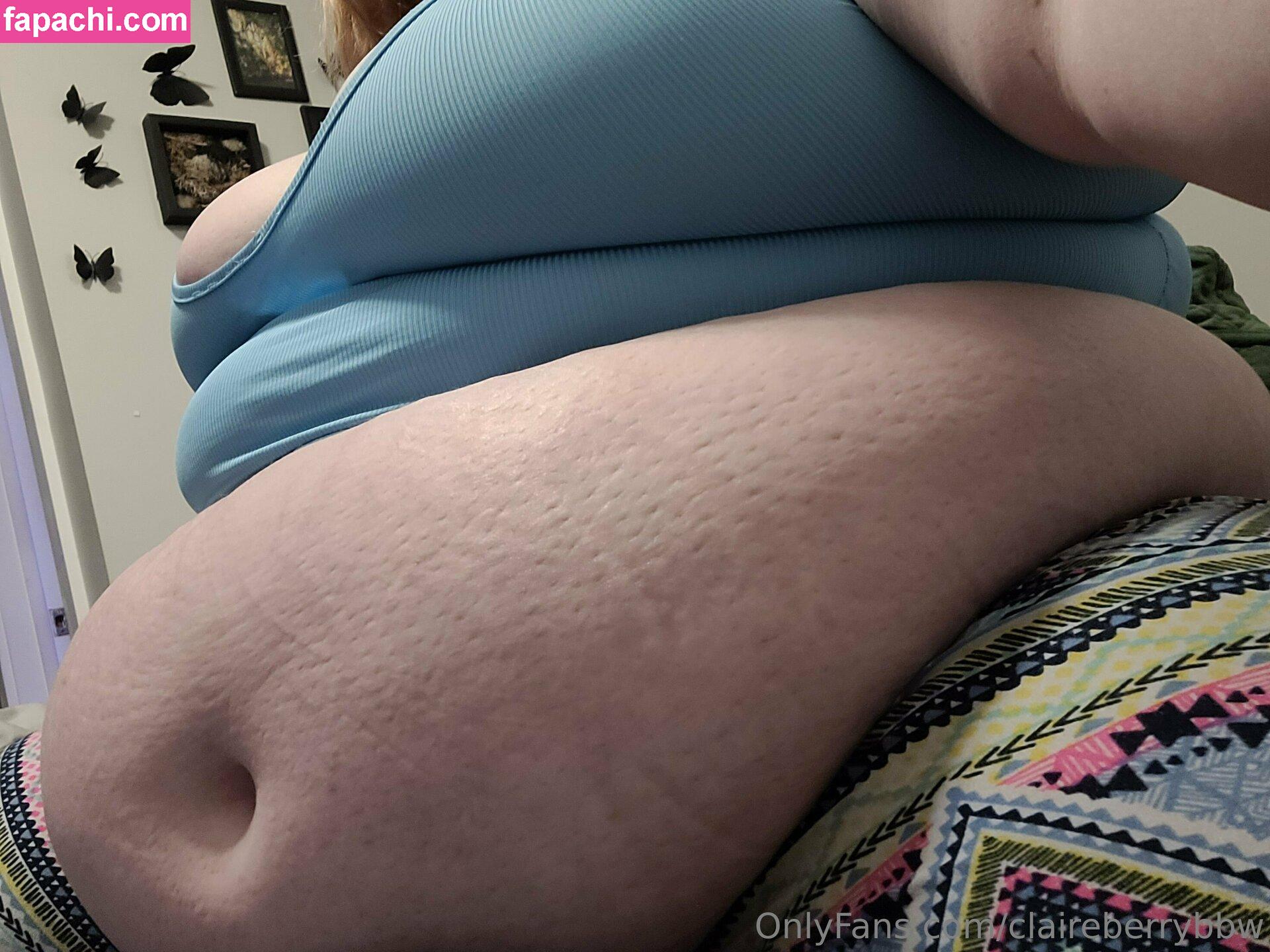 claireberrybbw leaked nude photo #0213 from OnlyFans/Patreon