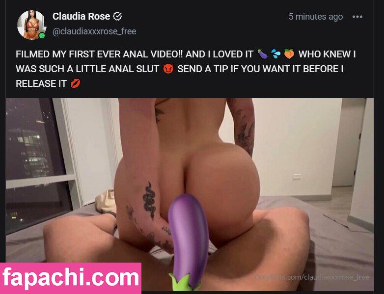 Claudiaxxxrose_vip / Claudia Rose / claudiarose.backup leaked nude photo #0011 from OnlyFans/Patreon