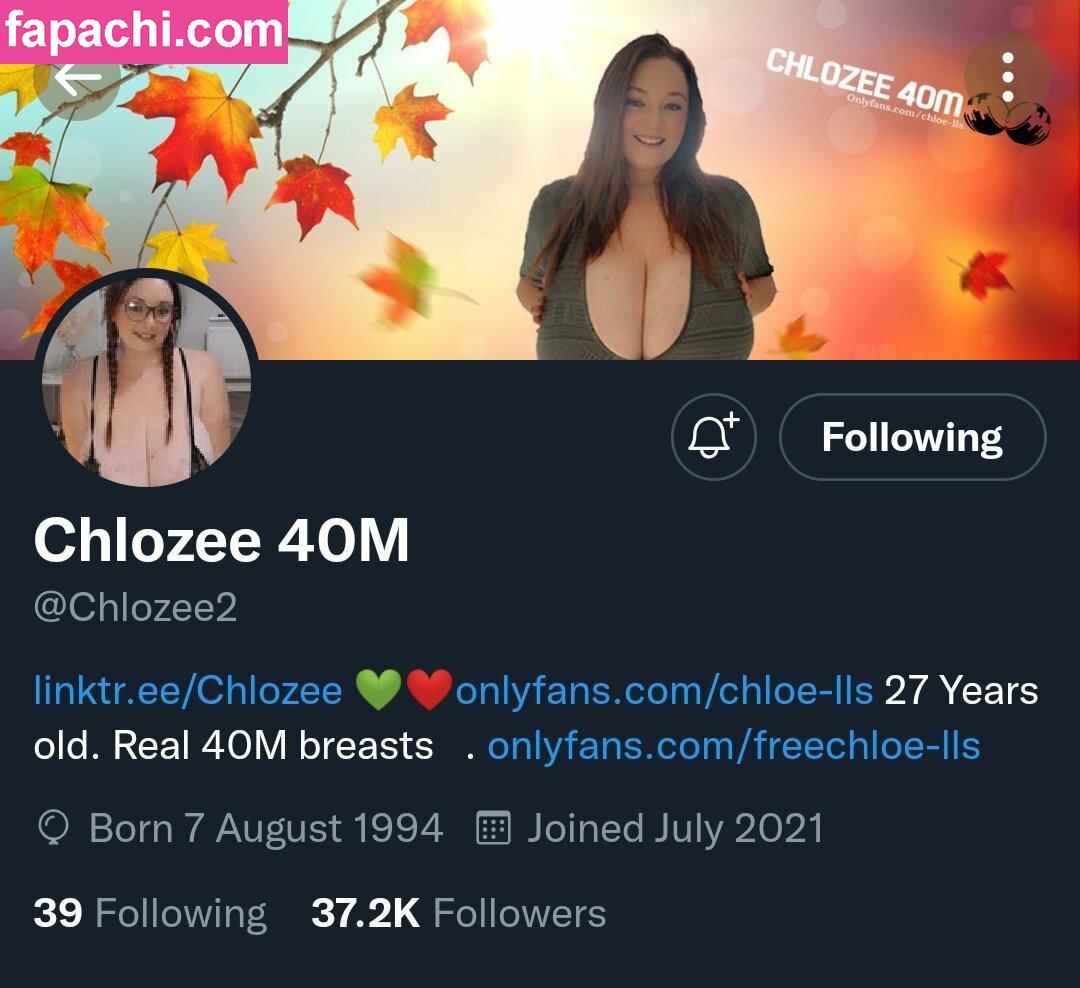 Coco / chloz.ee / coco-lls leaked nude photo #0189 from OnlyFans/Patreon