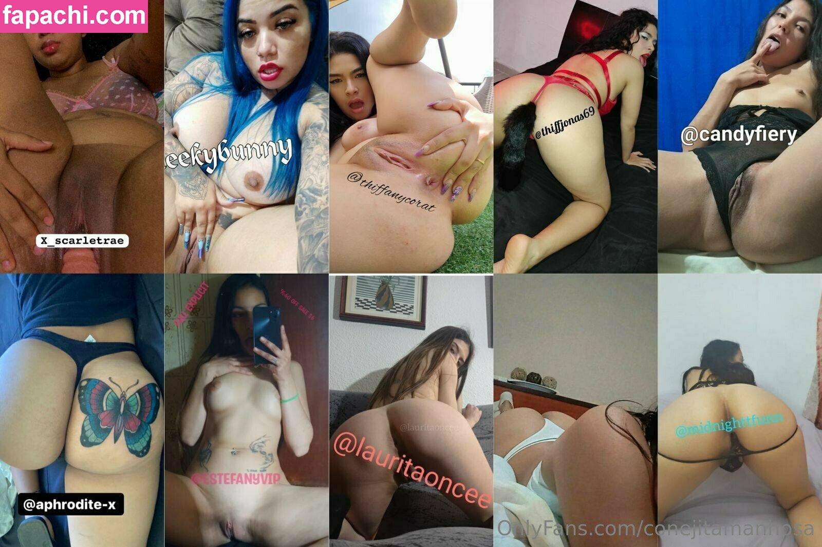 conejitamanhosa / dry.ramoos leaked nude photo #0053 from OnlyFans/Patreon