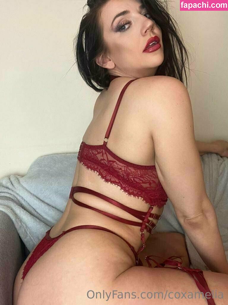 coxamelia / mn_amelia4cox leaked nude photo #0443 from OnlyFans/Patreon