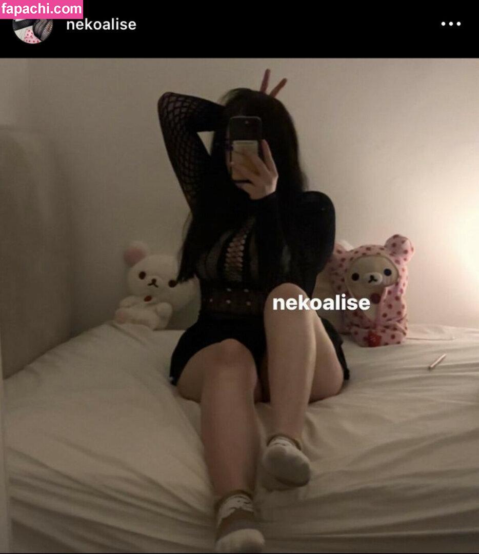 cutegirlxox / ditzygirlfriend / gropeable / nekoalise leaked nude photo #0003 from OnlyFans/Patreon