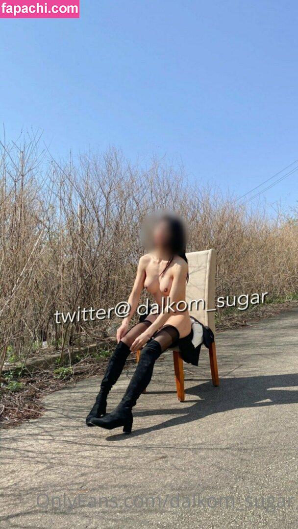 Dalkom_sugar / dalcom.pe.kr / slslhee leaked nude photo #0012 from OnlyFans/Patreon