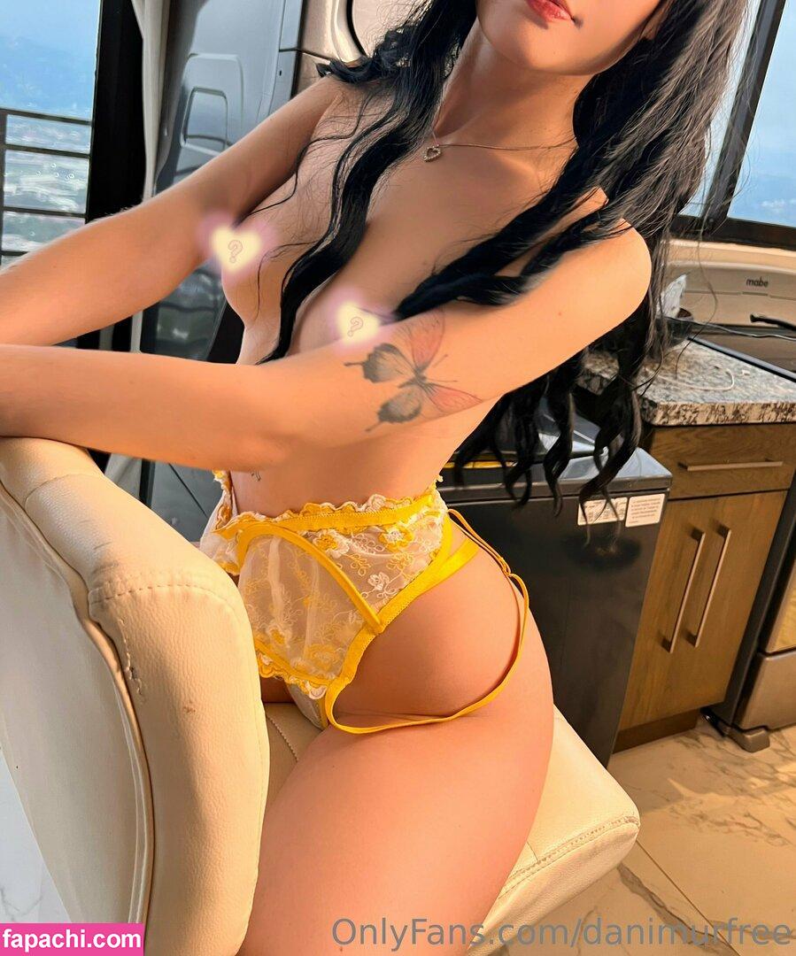 danimurfree / dyamonddfree leaked nude photo #0014 from OnlyFans/Patreon