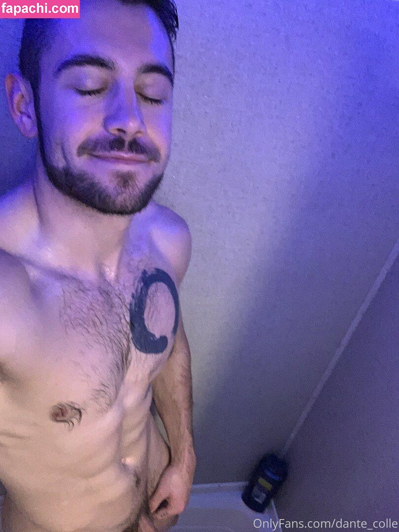 dante_colle / hippiegq_ leaked nude photo #0051 from OnlyFans/Patreon