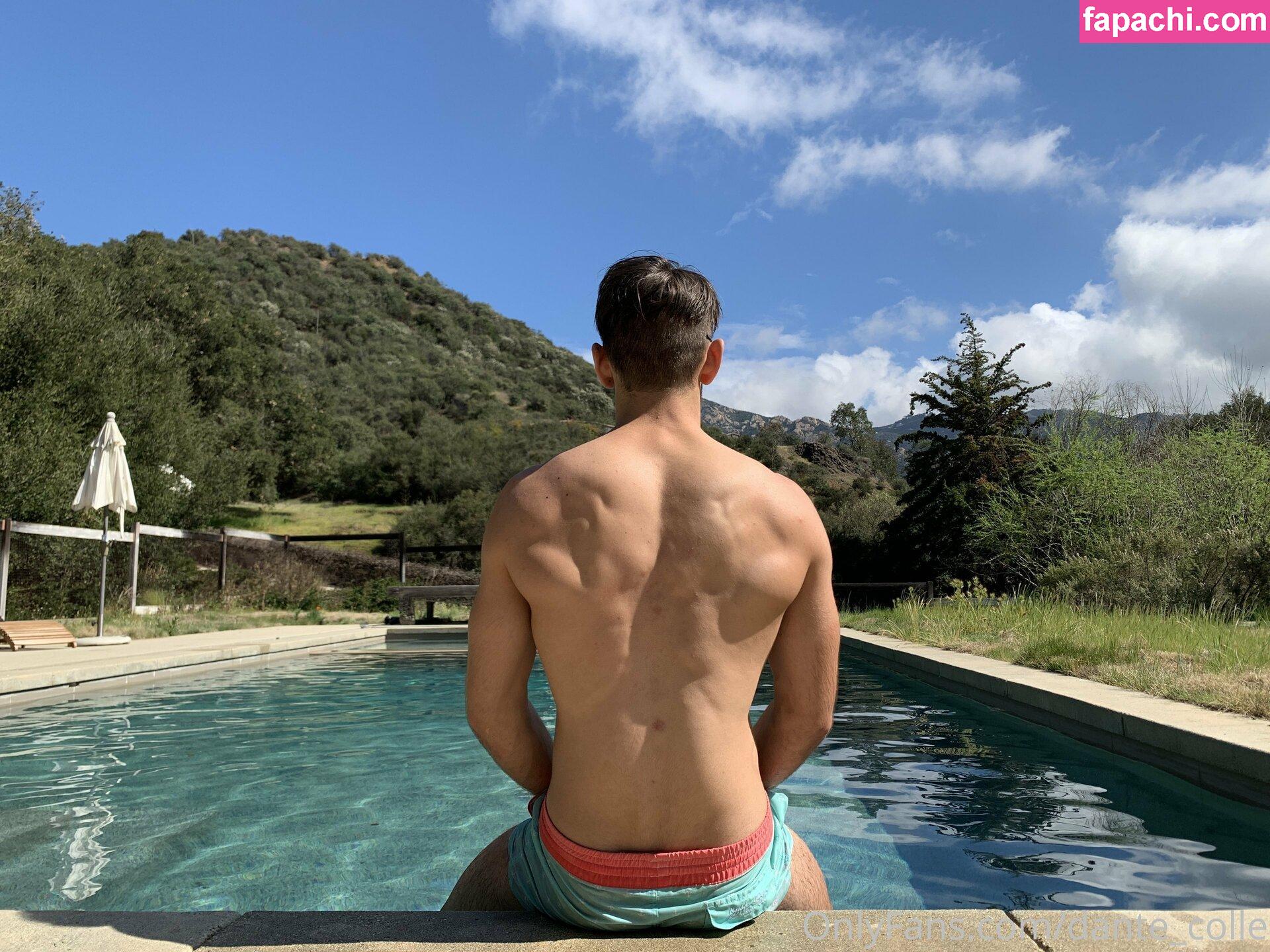 dante_colle / hippiegq_ leaked nude photo #0052 from OnlyFans/Patreon