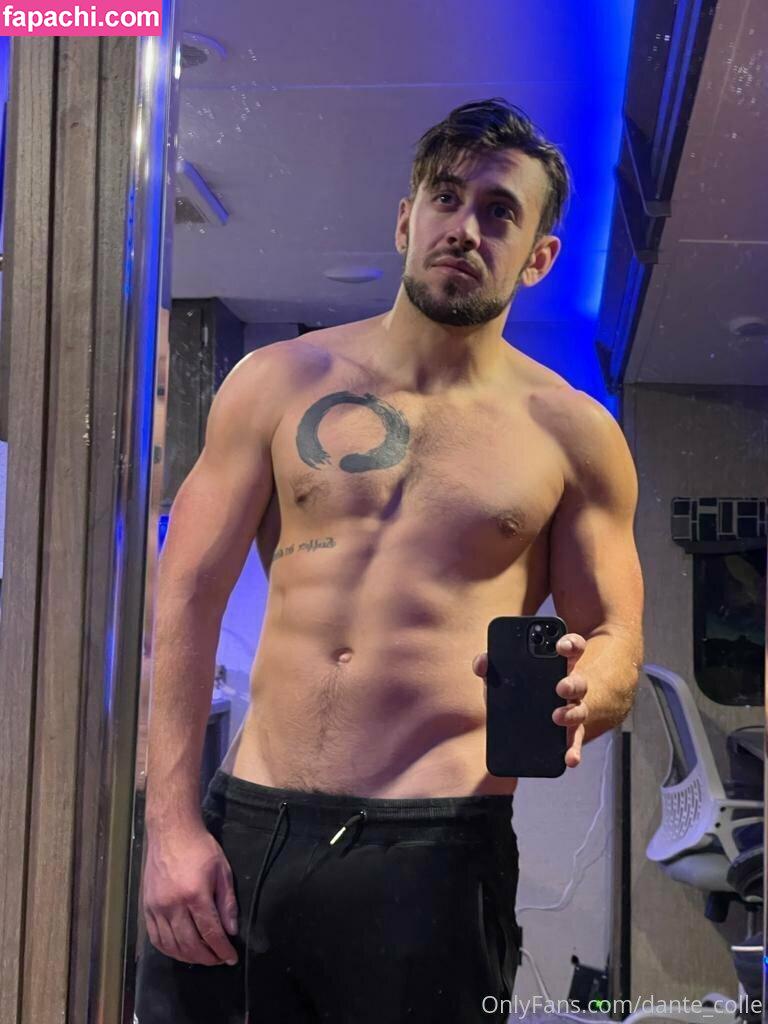 dante_colle / hippiegq_ leaked nude photo #0068 from OnlyFans/Patreon