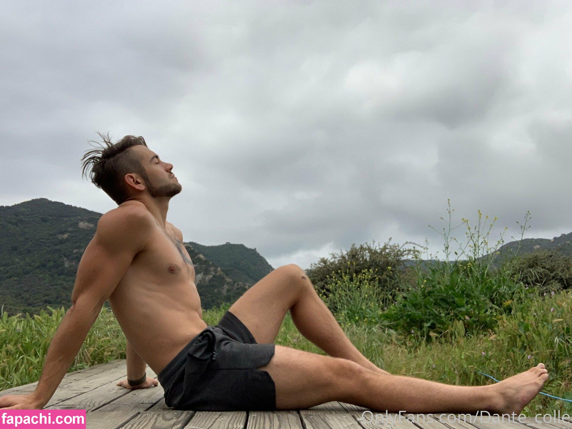 dante_colle / hippiegq_ leaked nude photo #0072 from OnlyFans/Patreon