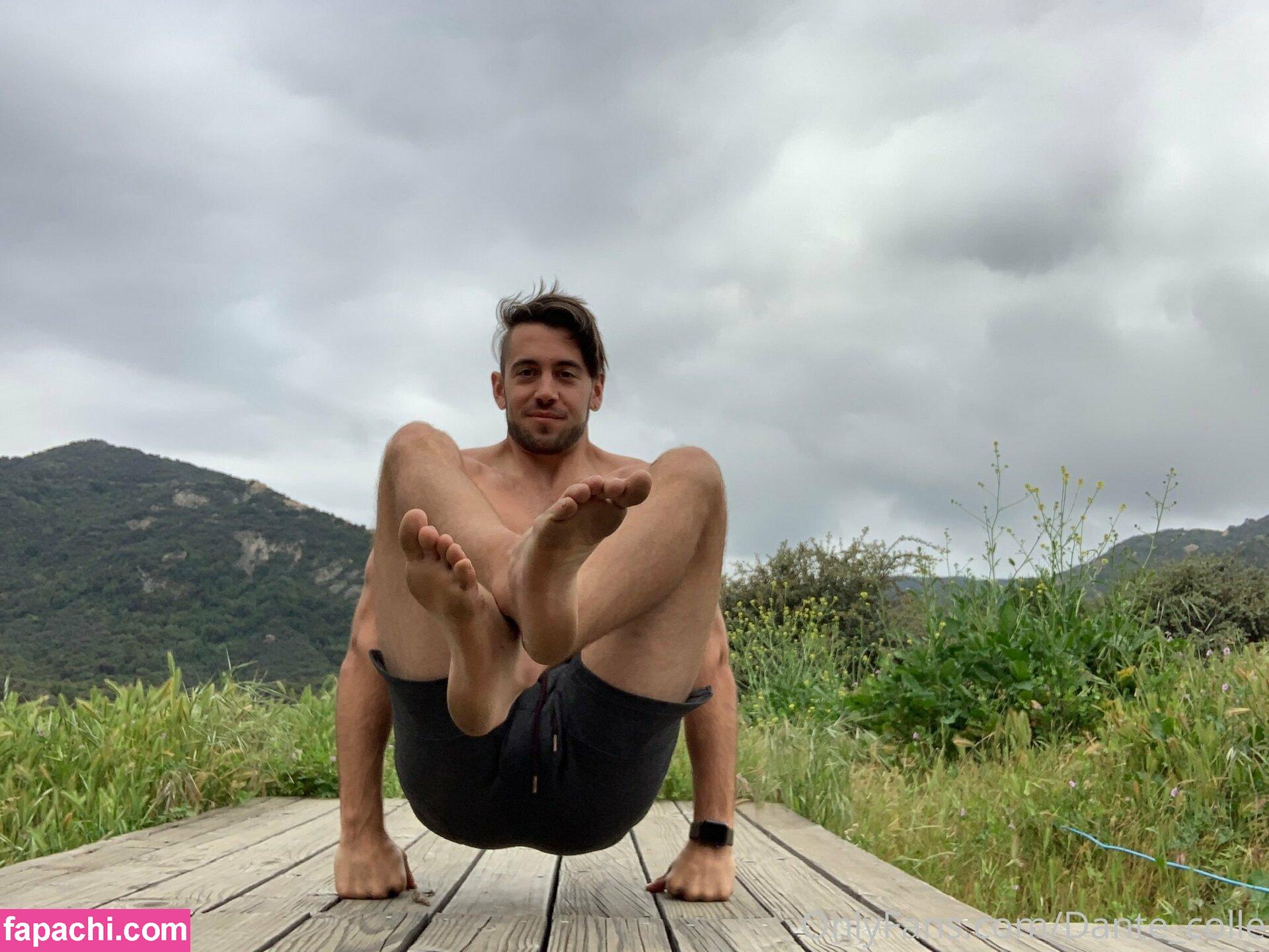 dante_colle / hippiegq_ leaked nude photo #0073 from OnlyFans/Patreon