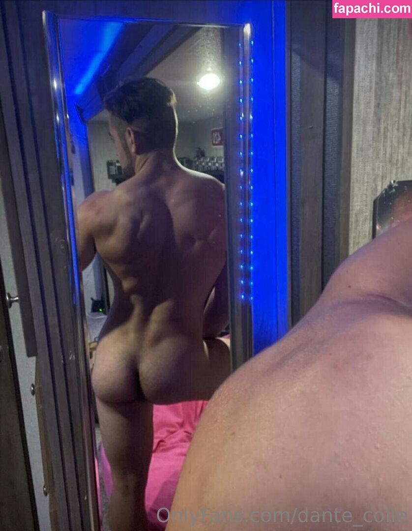 dante_colle / hippiegq_ leaked nude photo #0127 from OnlyFans/Patreon