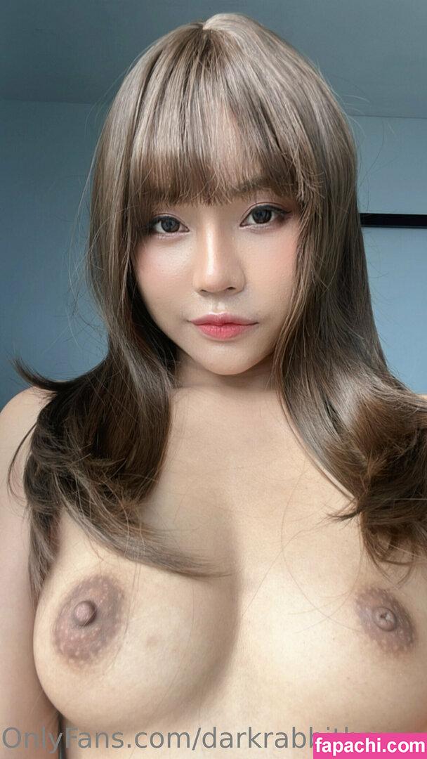 Darkrabbithouse / Darkrabbithous1 / Hunnybunny / asianfansorg leaked nude photo #0160 from OnlyFans/Patreon