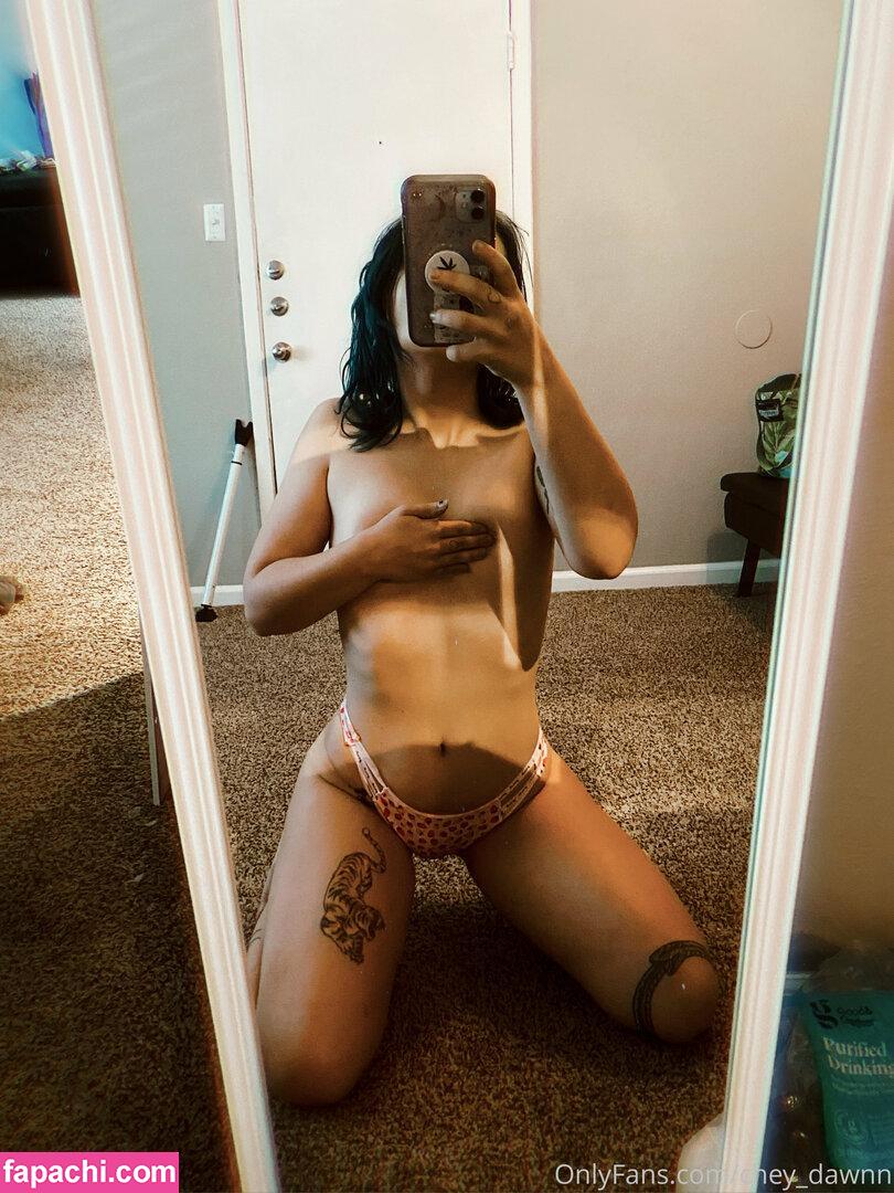 dawnbaybe leaked nude photo #0068 from OnlyFans/Patreon