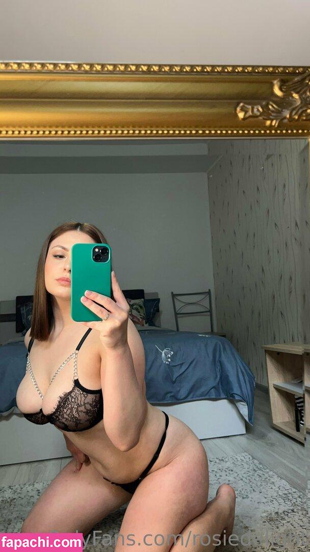 delightrosie / rosie.the.labranor leaked nude photo #0048 from OnlyFans/Patreon