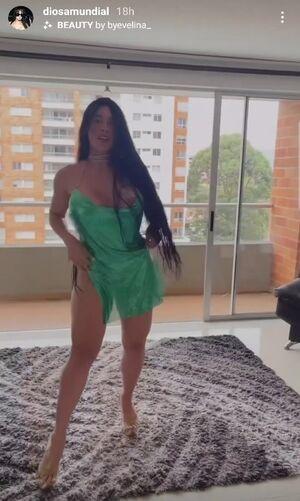 Diosa Canales leaked media #0613