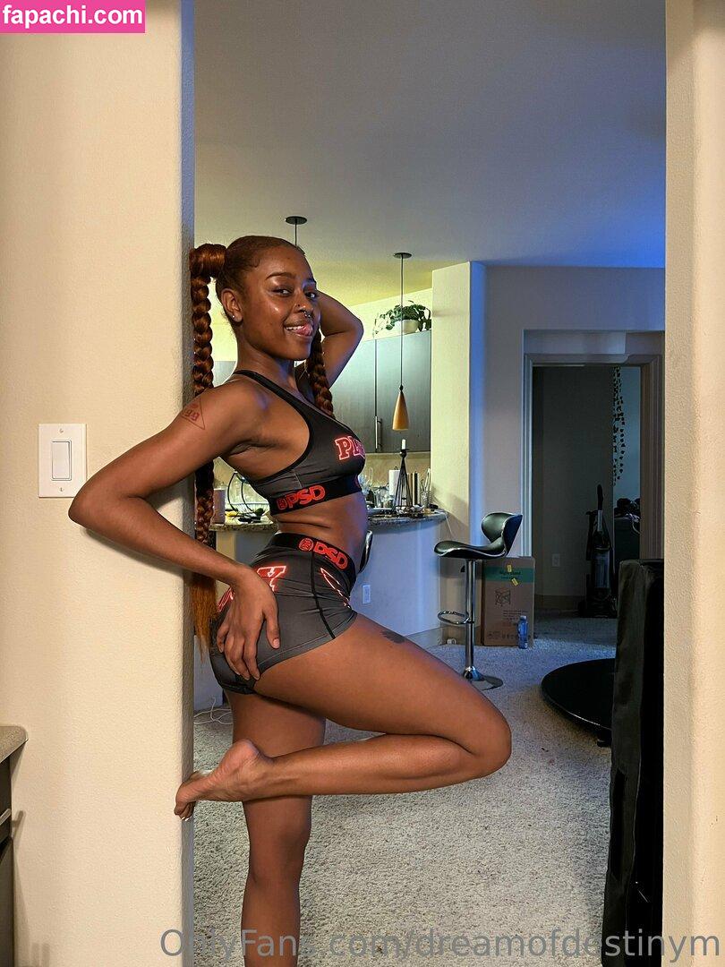 dreamofdestinym / dreamoffdestinym leaked nude photo #0042 from OnlyFans/Patreon