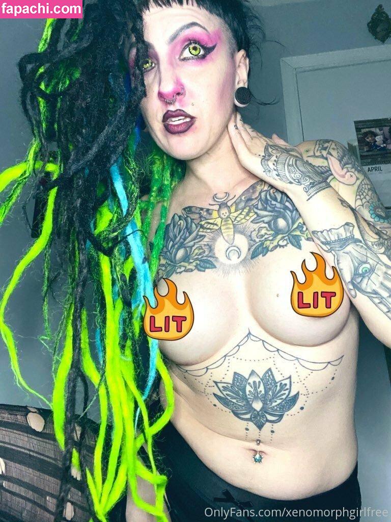 elfspitfree / thefreespiritgypsy leaked nude photo #0008 from OnlyFans/Patreon