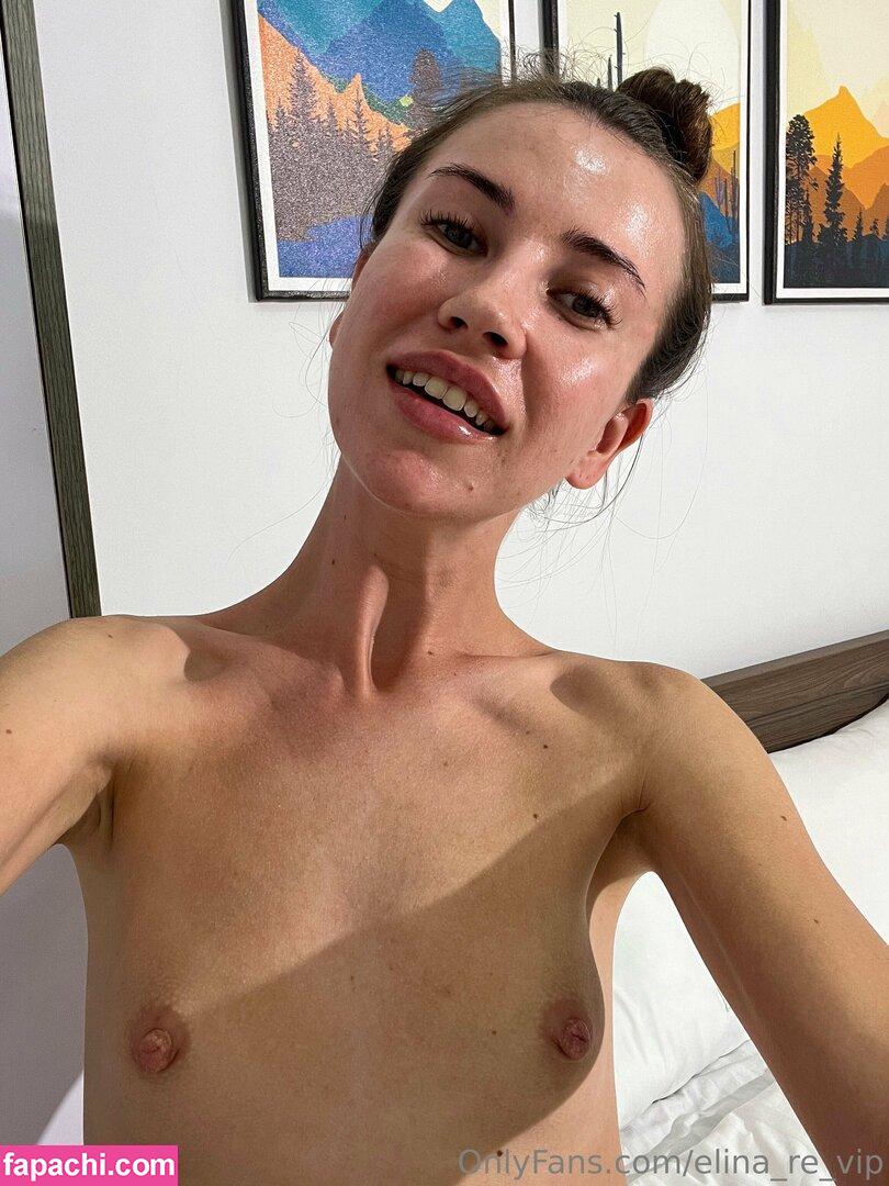 Elina_re_vip / elinatwitch leaked nude photo #0312 from OnlyFans/Patreon