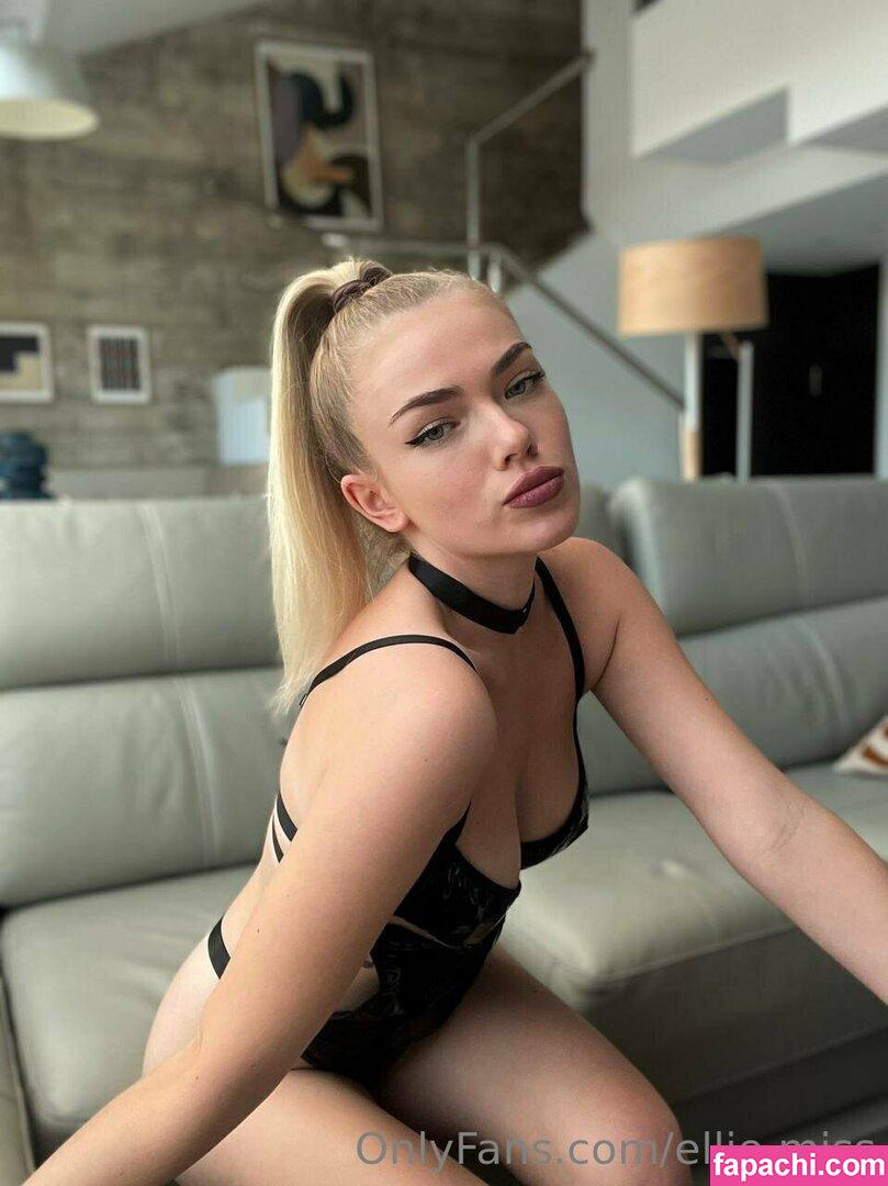 elliemiss / miss__modular leaked nude photo #0026 from OnlyFans/Patreon