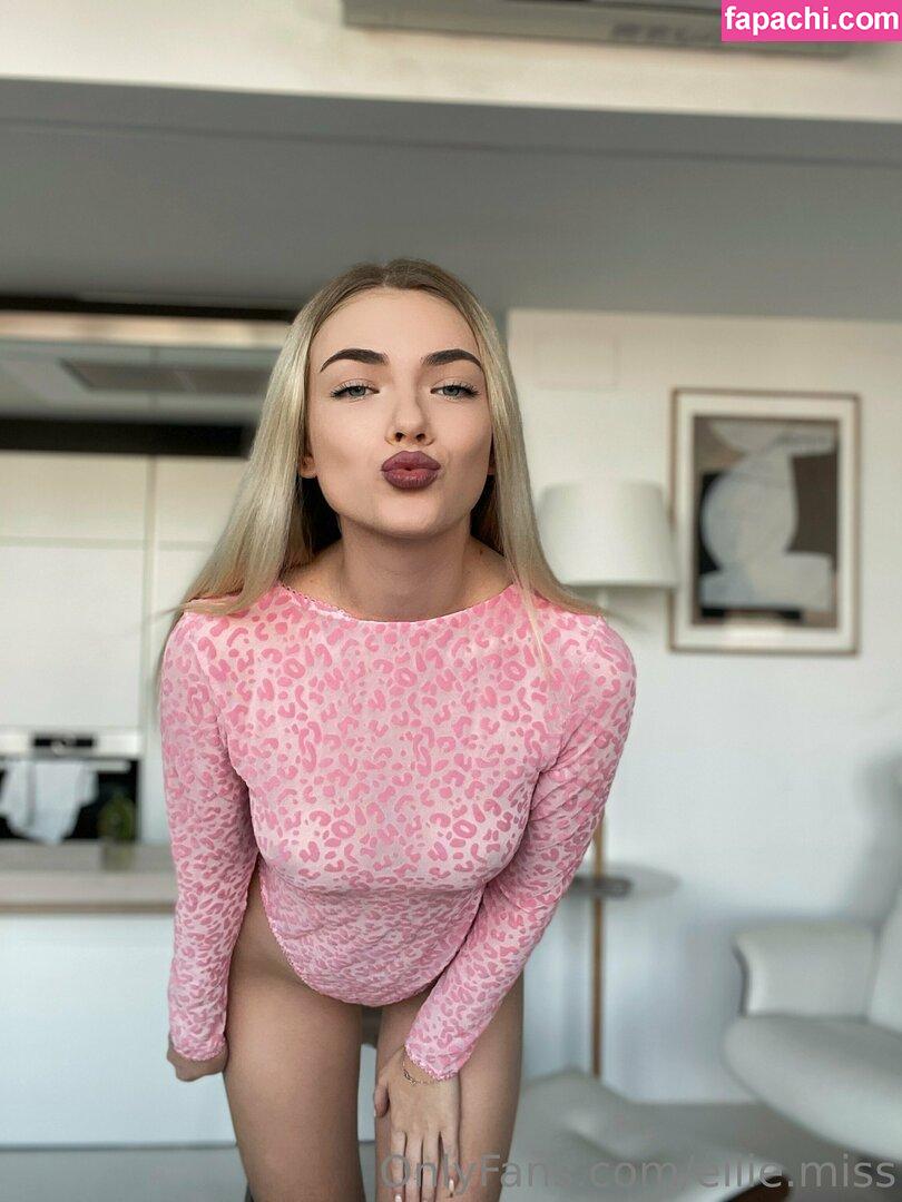 elliemiss / miss__modular leaked nude photo #0066 from OnlyFans/Patreon