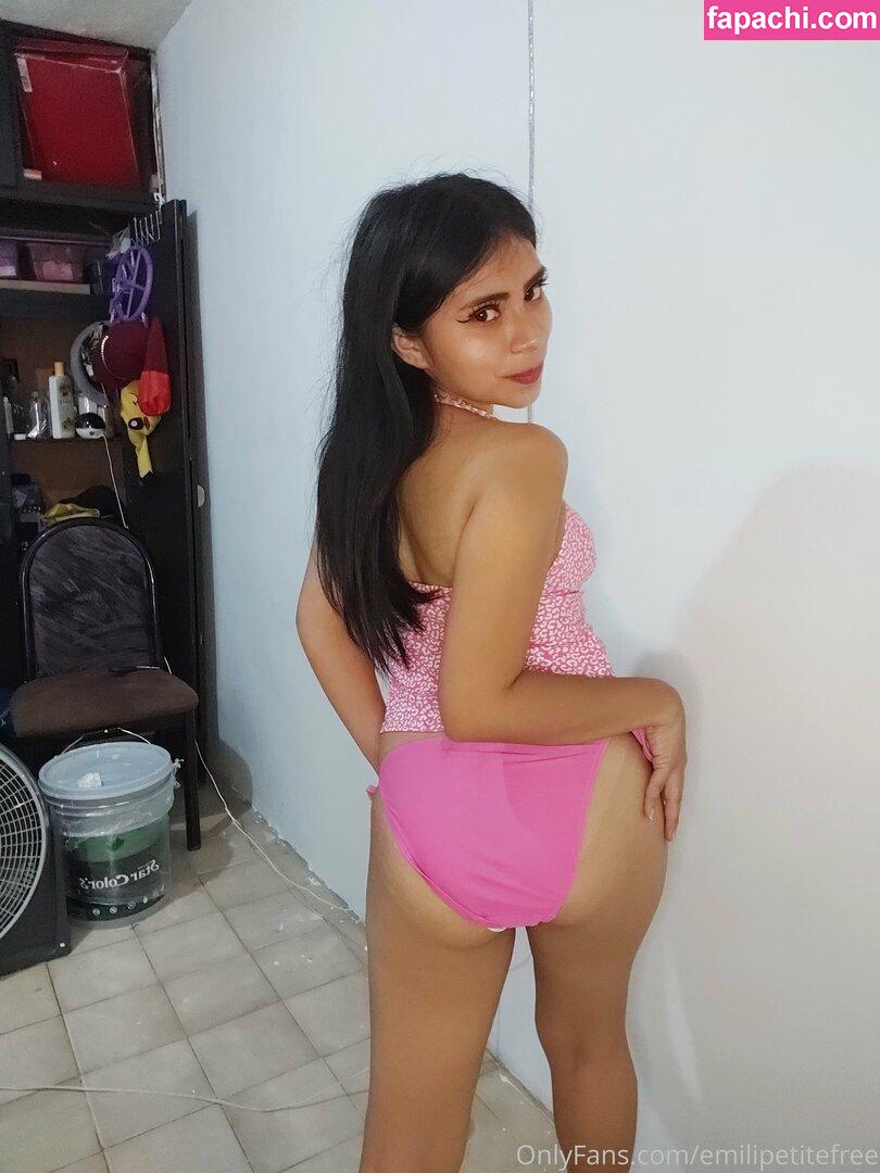 emilipetitefree / emilipetite21 leaked nude photo #0050 from OnlyFans/Patreon