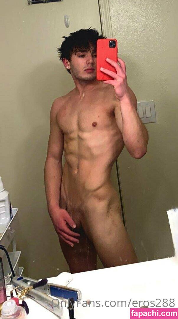 eros288 / eros28 leaked nude photo #0002 from OnlyFans/Patreon