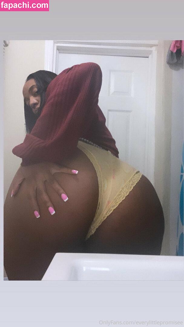 everylittlepromisee / prettyperfection leaked nude photo #0003 from OnlyFans/Patreon