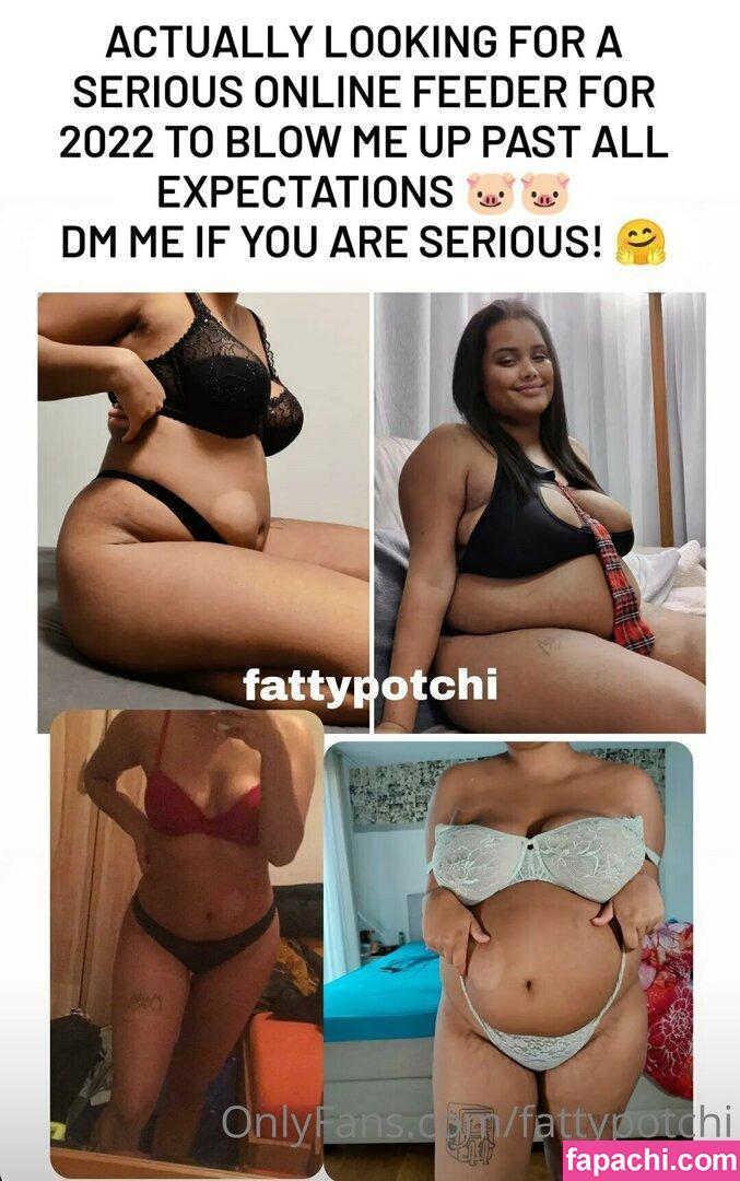 fattypotchi leaked nude photo #0056 from OnlyFans/Patreon