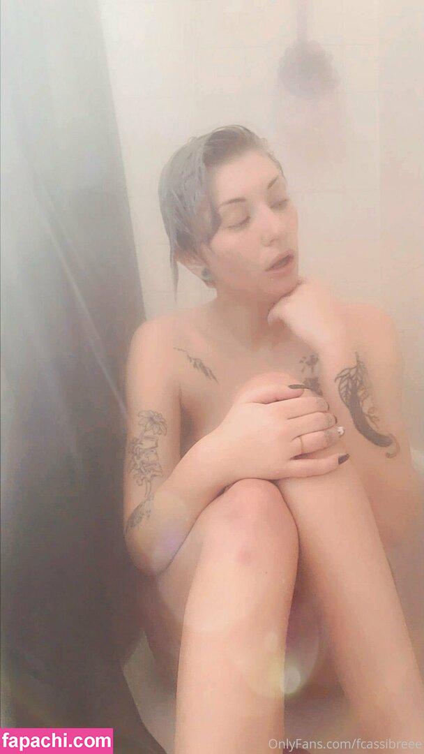 fcassibreee leaked nude photo #0005 from OnlyFans/Patreon