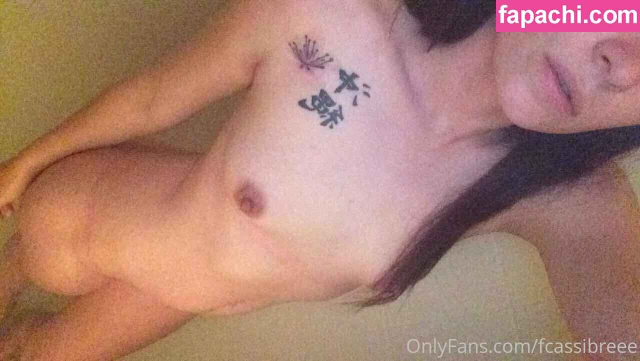 fcassibreee leaked nude photo #0018 from OnlyFans/Patreon