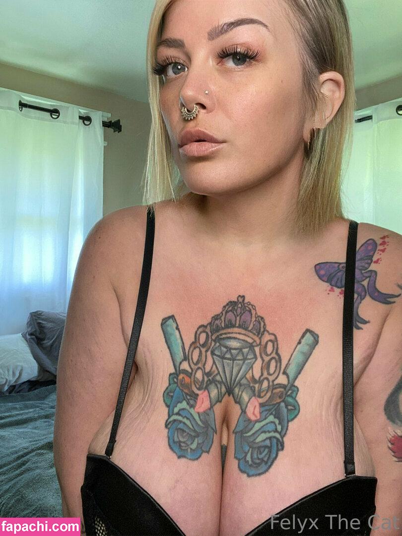 felyxfree / felyxfox leaked nude photo #0457 from OnlyFans/Patreon