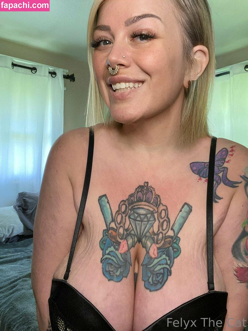 felyxfree / felyxfox leaked nude photo #0458 from OnlyFans/Patreon