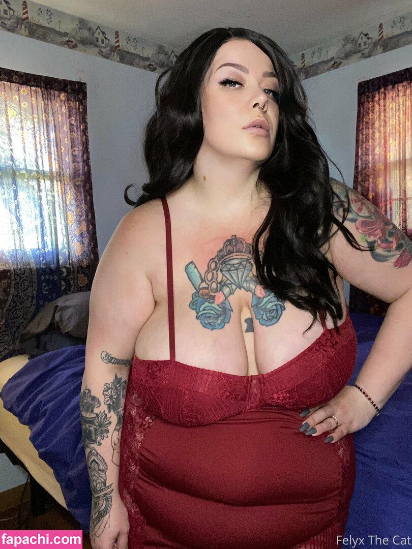 felyxthecat / me0wminx leaked nude photo #0140 from OnlyFans/Patreon