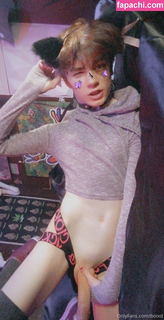 femboixd / boixd / kittyboitrap leaked nude photo #0061 from OnlyFans/Patreon