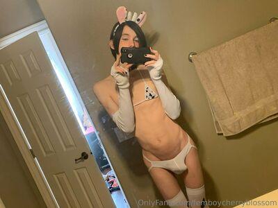 femboycherryblossom leaked media #0413