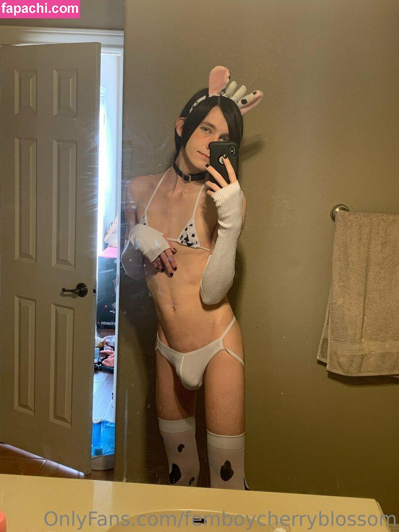 femboycherryblossom leaked nude photo #0401 from OnlyFans/Patreon