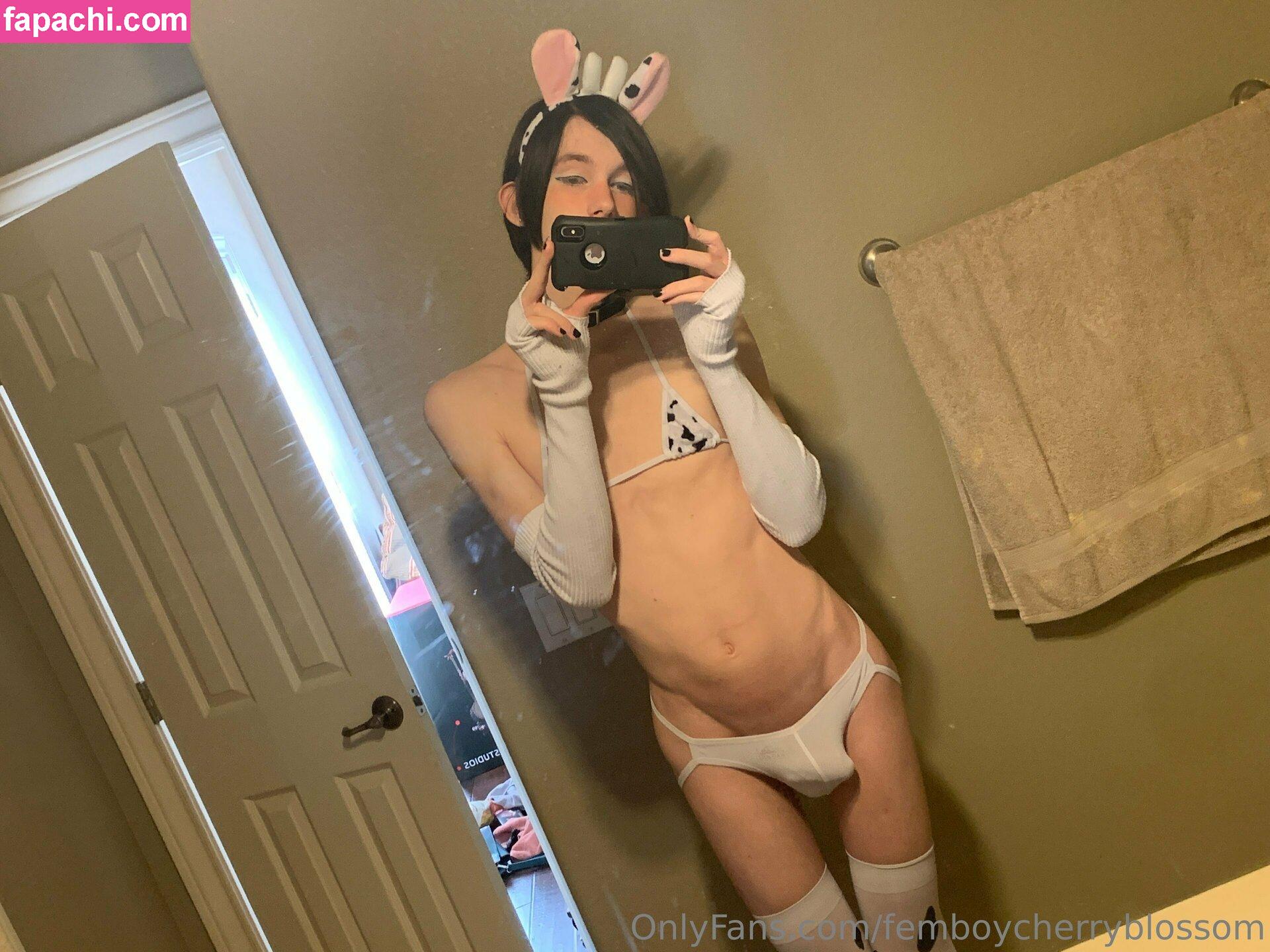 femboycherryblossom leaked nude photo #0413 from OnlyFans/Patreon