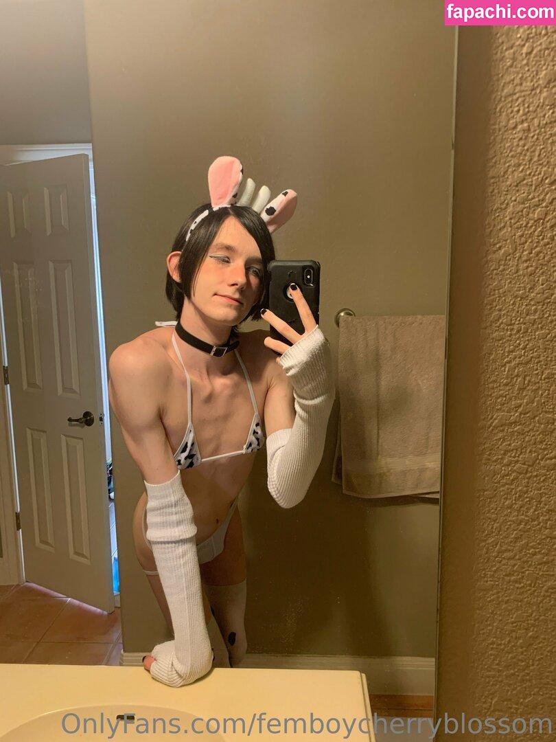 femboycherryblossom leaked nude photo #0427 from OnlyFans/Patreon