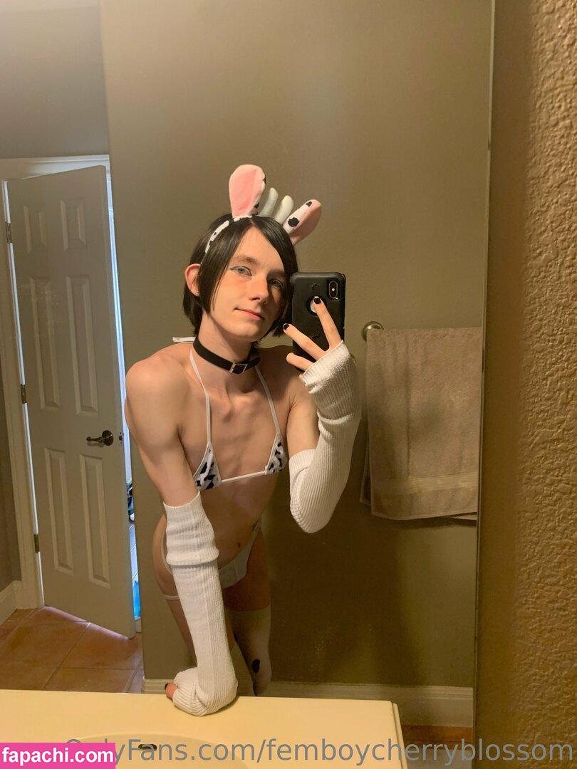 femboycherryblossom leaked nude photo #0428 from OnlyFans/Patreon