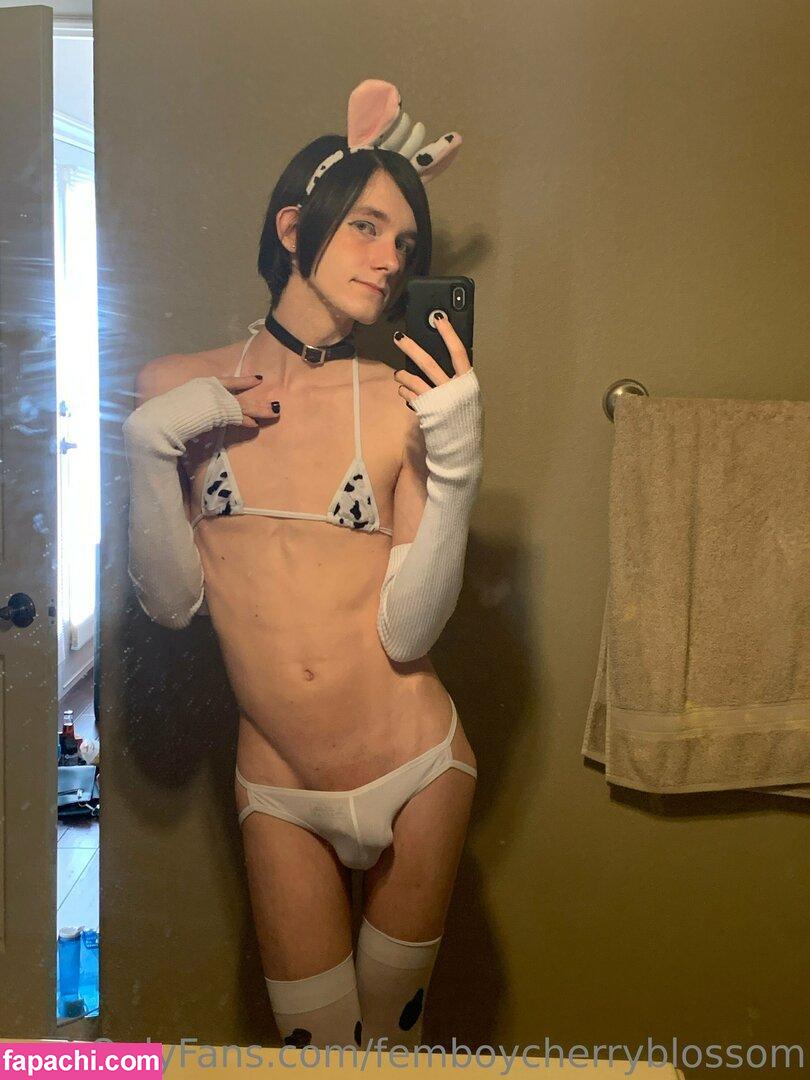femboycherryblossom leaked nude photo #0440 from OnlyFans/Patreon