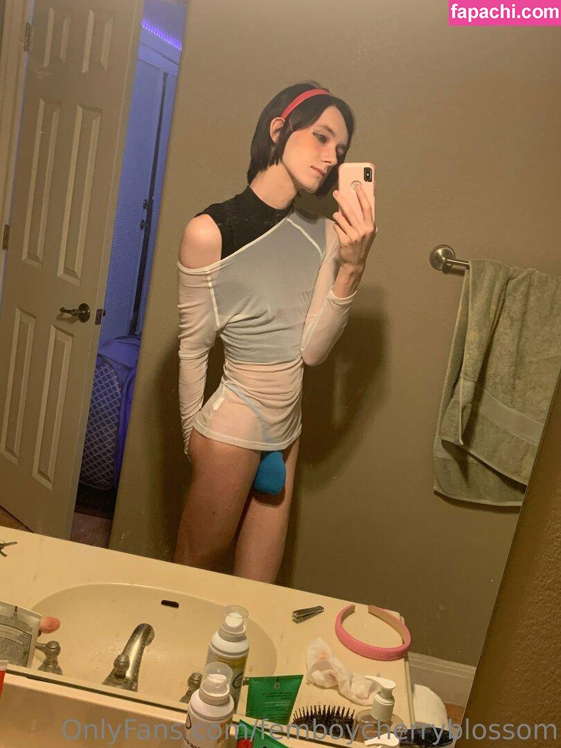 femboycherryblossom leaked nude photo #0448 from OnlyFans/Patreon