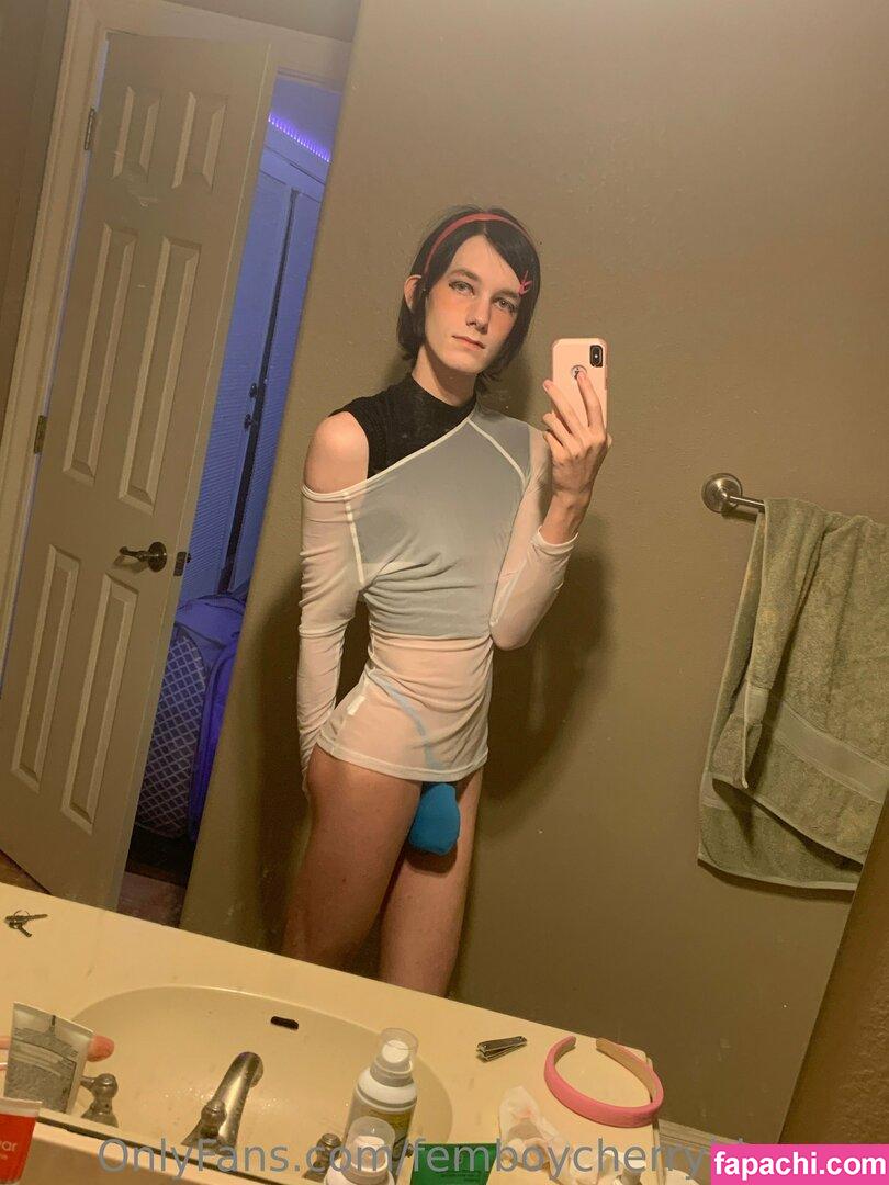 femboycherryblossom leaked nude photo #0449 from OnlyFans/Patreon