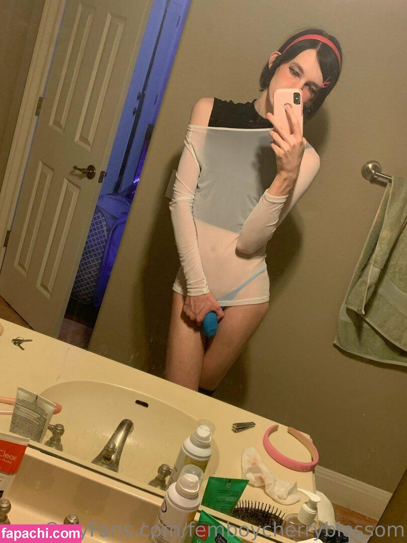 femboycherryblossom leaked nude photo #0450 from OnlyFans/Patreon