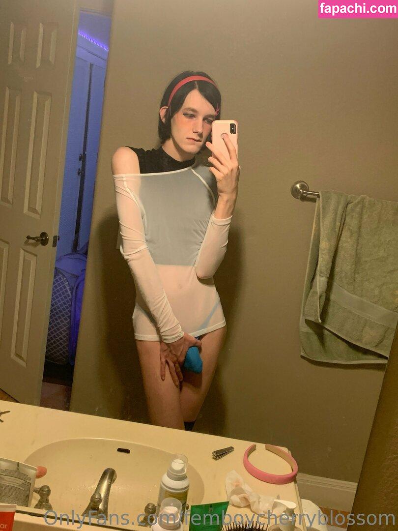 femboycherryblossom leaked nude photo #0451 from OnlyFans/Patreon