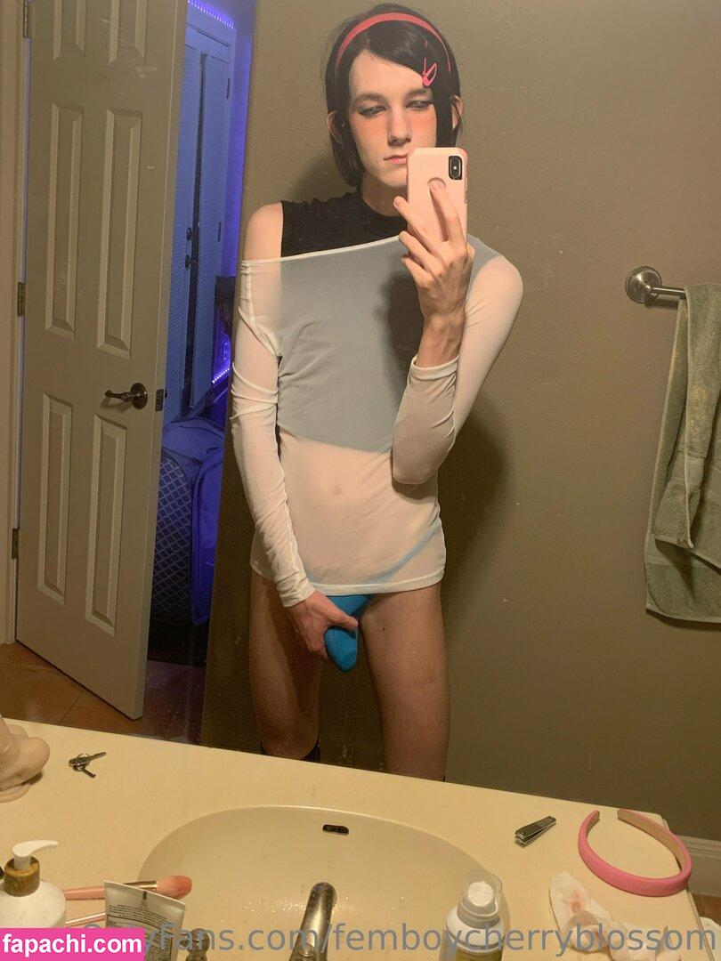 femboycherryblossom leaked nude photo #0453 from OnlyFans/Patreon