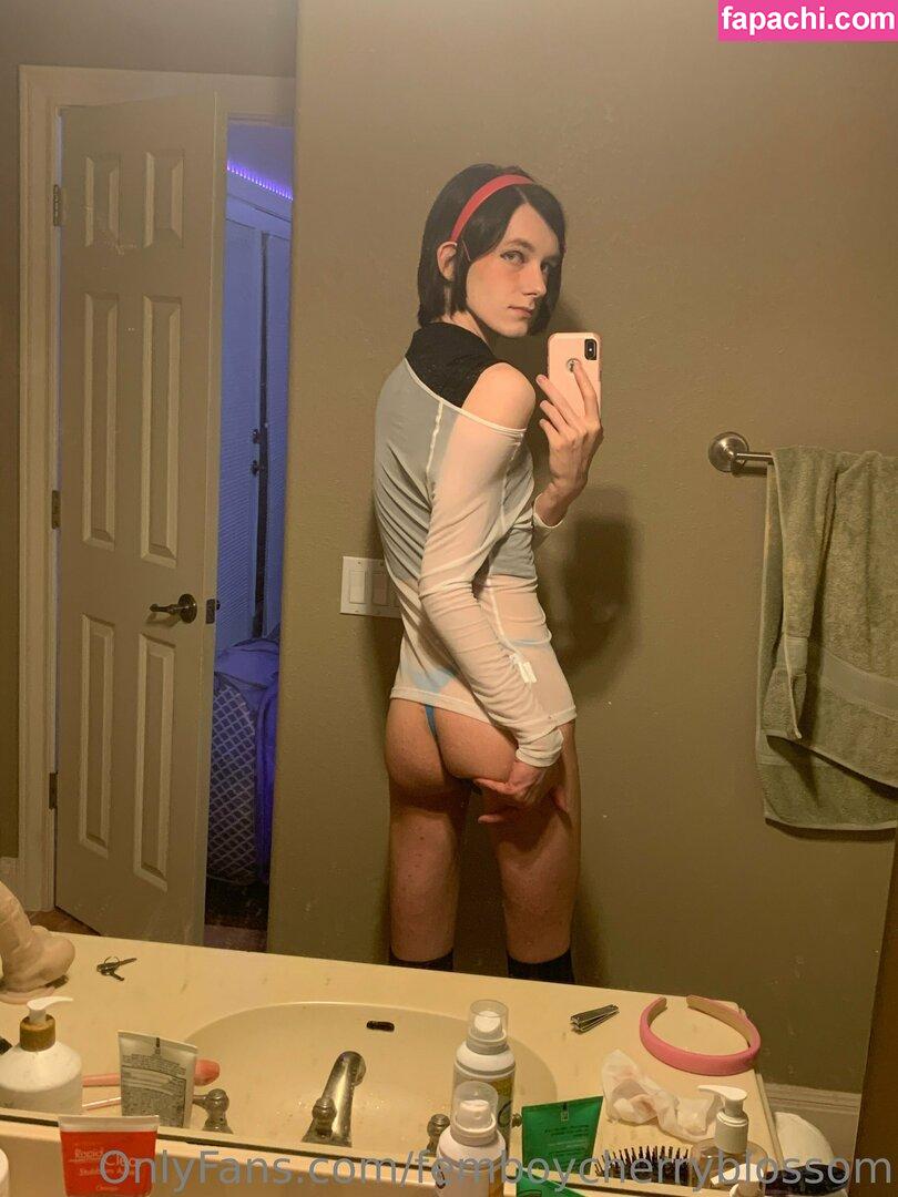 femboycherryblossom leaked nude photo #0457 from OnlyFans/Patreon
