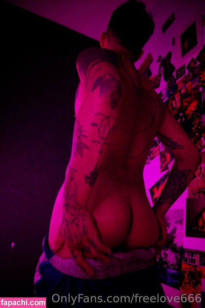 freelove666 / freelove66654 leaked nude photo #0005 from OnlyFans/Patreon